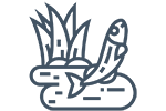 Iaz