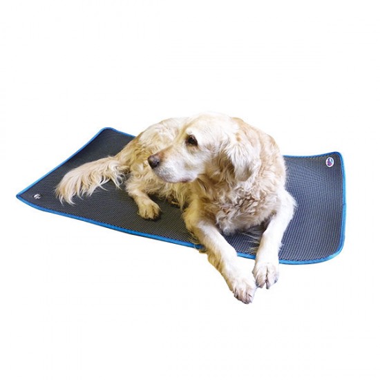 Covoras pentru consultatii veterinare si recuperare COSYPAD, Genia, marime 60X115 cm Covoras pentru consultatii veterinare si recuperare COSYPAD, Genia, marime 60X115 cm
