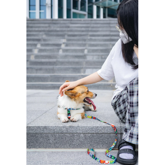 10834799 URBAN STYLE Freestyle Leash M