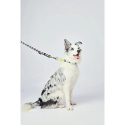 10837199 WILD Safari Collar M