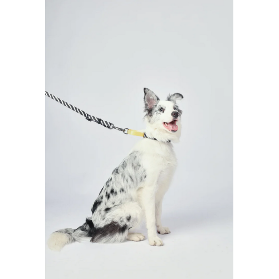 10837099 WILD Safari Collar S 10837099 WILD Safari Collar S