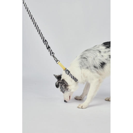 10837099 WILD Safari Collar S 10837099 WILD Safari Collar S