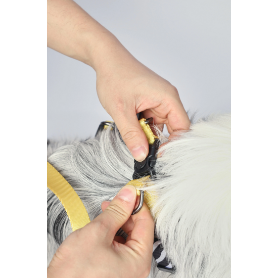 10837499 WILD Safari Harness XS