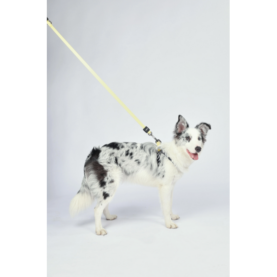 10837499 WILD Safari Harness XS