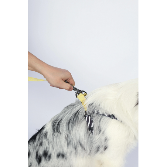 10837499 WILD Safari Harness XS