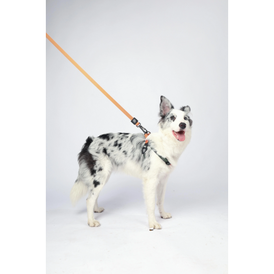 10838199 WILD Jungle Regular Leash S/M 10838199 WILD Jungle Regular Leash S/M