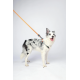 10838199 WILD Jungle Regular Leash S/M 10838199 WILD Jungle Regular Leash S/M