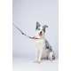 10838499 WILD Jungle Collar M 10838499 WILD Jungle Collar M