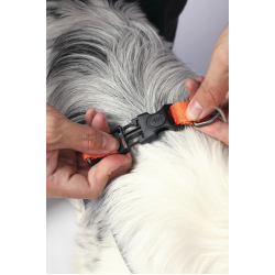 10838799 WILD Jungle Harness XS