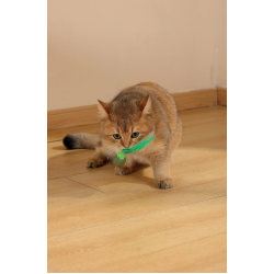 CHARMY Catnip Toy - FIREFLY Green 20640499 CHARMY Catnip Toy - FIREFLY Green 20640499