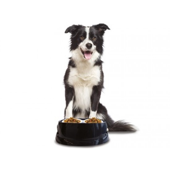 Castron din plastic pentru caini 2300ml, M-PETS 10502799 Castron din plastic pentru caini 2300ml, M-PETS 10502799