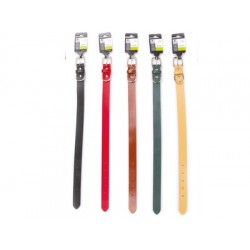 Zgarda pentru caini CARUSO M-PETS, L, 2,5x50 cm Zgarda pentru caini CARUSO M-PETS, L, 2,5x50 cm