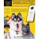 Pandantiv digital cu tehnologie NFC pentru recuperarea animalelor de companie Pandantiv digital cu tehnologie NFC pentru recuperarea animalelor de companie