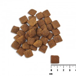 Hrana uscata pentru caini adulti, RAW PALEO HEALTHY GRAIN, miel, 2kg Hrana uscata pentru caini adulti, RAW PALEO HEALTHY GRAIN, miel, 2kg